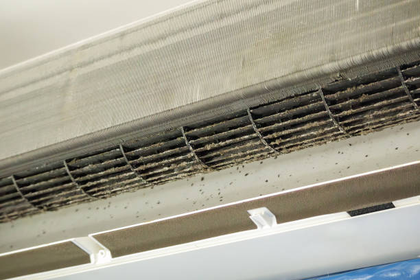 Best Ductwork Cleaning Services  in Garland, UT